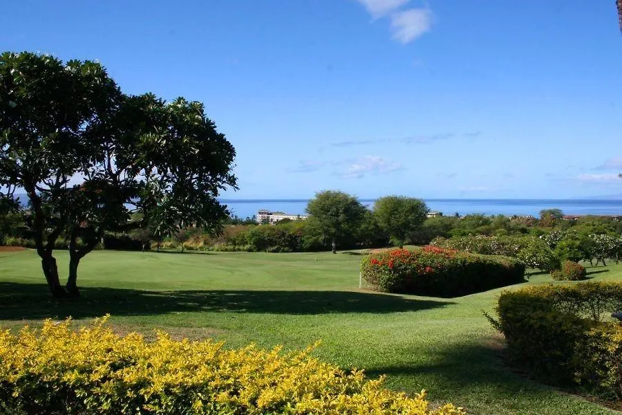 Wailea Ekolu, #401 Condo